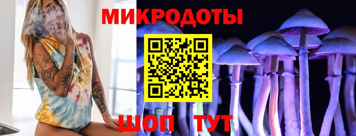 Галлюциногенные грибы MAGIC MUSHROOMS  Вход с VPN  Ноябрьск  Псилоцибиновые грибы Cubensis 