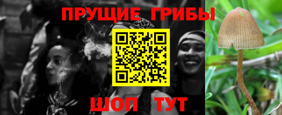 Галлюциногенные грибы Ноябрьск
